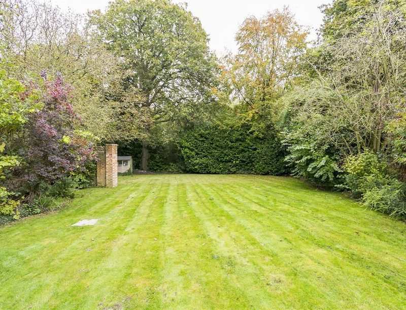 The end of the lawn with a tall hedge, oak trees and autumn colour.